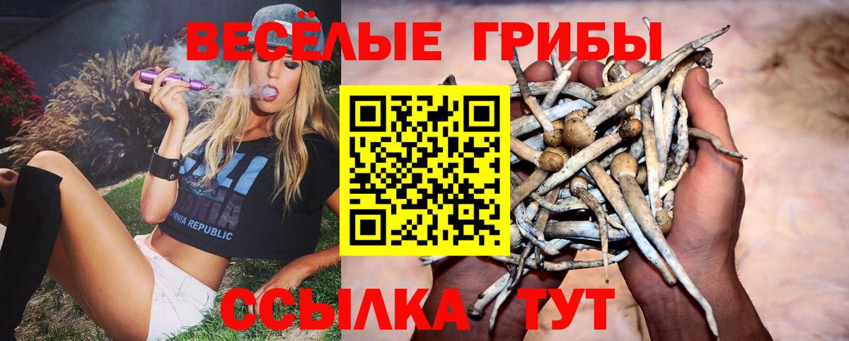 Галлюциногенные грибы MAGIC MUSHROOMS  Псилоцибиновые грибы мухоморы  Киров  Вход с VPN 