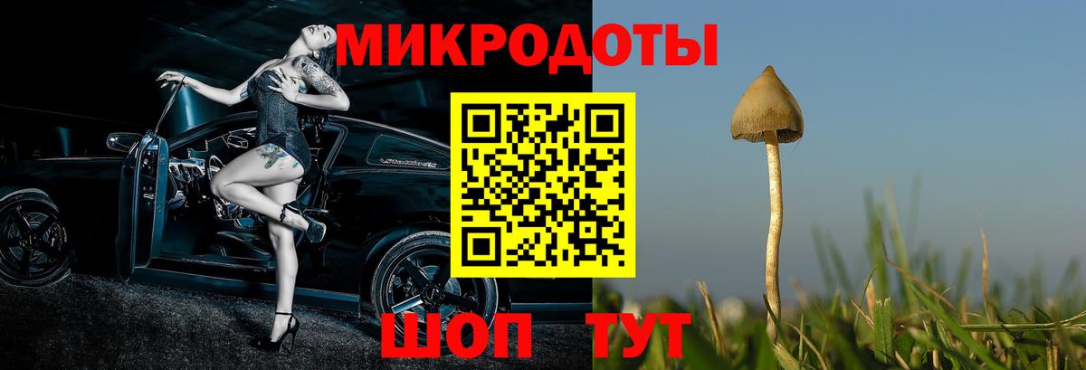Галлюциногенные грибы Cubensis Киров